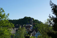 Maiandacht mit Krönung der Fatima-Madonna (Foto: Karl-Franz Thiede)